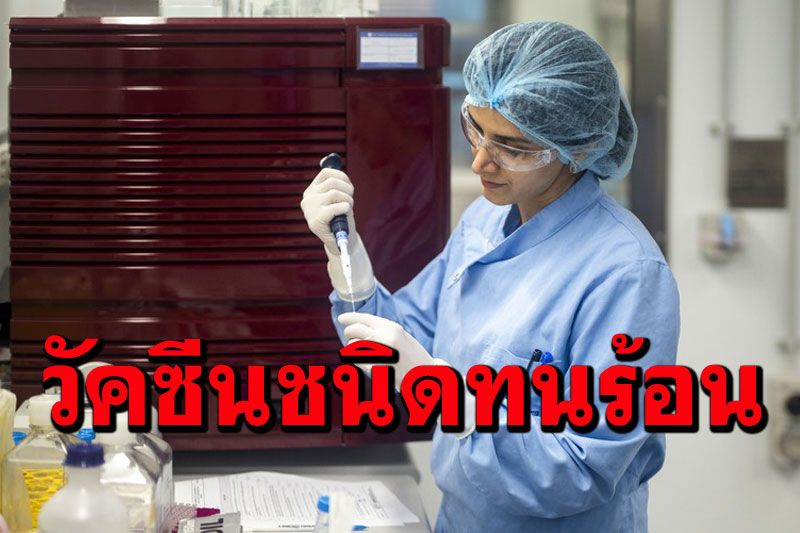 วิจัยพบวัคซีนโควิด‘ชนิดทนร้อน’ มีประสิทธิภาพป้องกันทุกสายพันธุ์เฝ้าระวัง