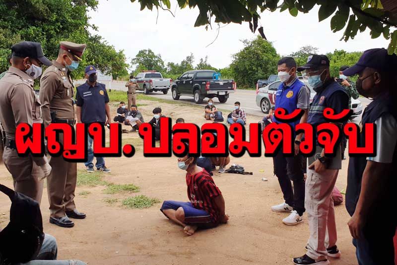 ‘ผญบ.ประจวบฯ’เจ๋ง! ปลอมตัวเลี้ยงวัวซุ่มจับ 11 พม่าเถื่อน แฉมุ่งเข้ารง.ชำแหละไก่ปากน้ำ