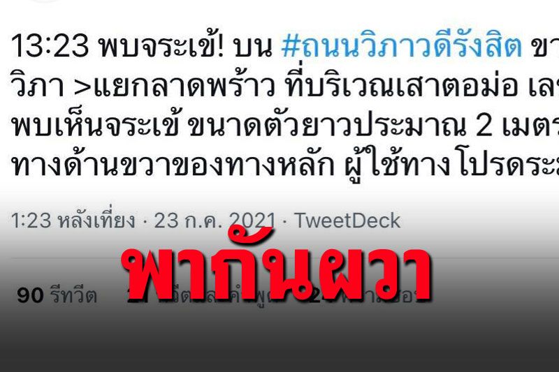 โอ้วมายก๊อด! มีคนแจ้งพบจระเข้2เมตร บนถนนวิภาวดีรังสิต
