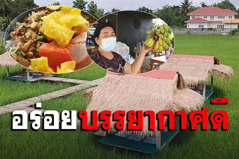 ไอเดียเก๋! เปิดร้านก๋วยเตี๋ยวกลางทุ่งนา สั่งอาหารแถมกล้วยให้กินฟรี