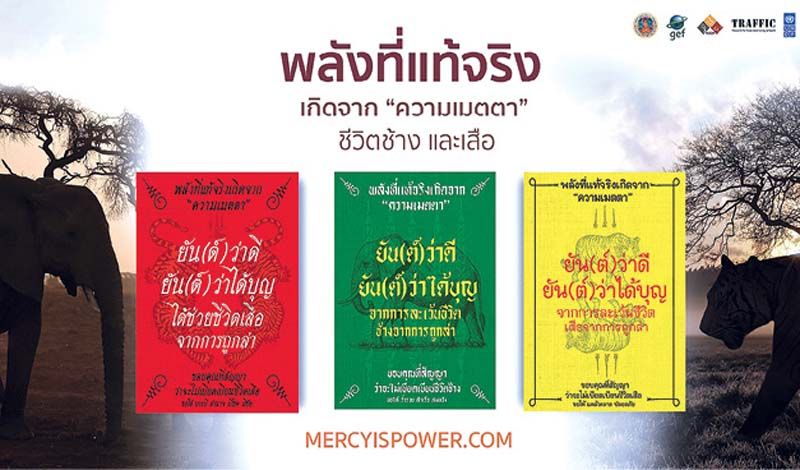 ‘Mercy is Power’#ละเว้นชีวิตช้างและเสือคือพลัง รณรงค์คนไทยไม่ซื้อไม่ครอบครองเครื่องรางจากงาช้างและเสือ