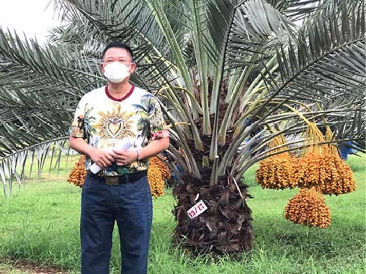 รายงานพิเศษ : นายก อบจ.เพชรบูรณ์ ชวนชิมฟรีอินทผลัมสด  งาน ‘Intapalum Festival 2021 ครั้งที่ 2’   เปิดฤดูกาลท่องเที่ยวฤดูฝนในรูปแบบ New Normal