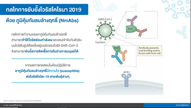 ตัวเลือกรักษาผู้ป่วยโควิด-19 ด้วยภูมิคุ้มกันลบล้างฤทธิ์ NmAbs แพทย์ผู้เชี่ยวชาญชี้ช่วยลดภาระ‘เตียงเต็ม’จากผลการศึกษาในต่างประเทศ