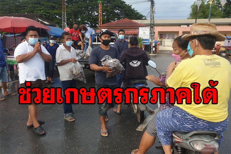 'เอกชัย ศรีวิชัย-นายหนังตะลุง'ช่วยซื้อผลไม้จากเกษตรกรกว่า7ตัน แจกจ่ายให้ชาวบ้านฟรี