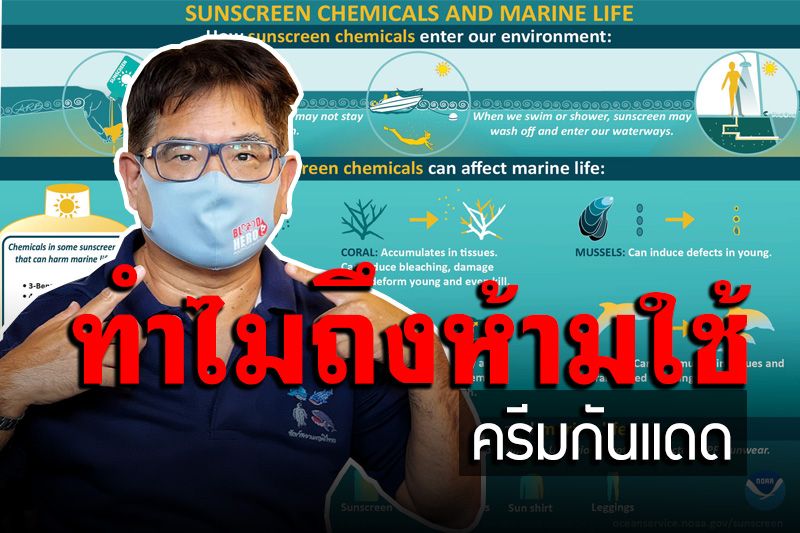 ทำไมถึงห้าม? 'ดร.ธรณ์' เผยเหตุผลละเอียดยิบ กรมอุทยานฯ ห้ามนำ-ใช้ 'ครีมกันแดด'