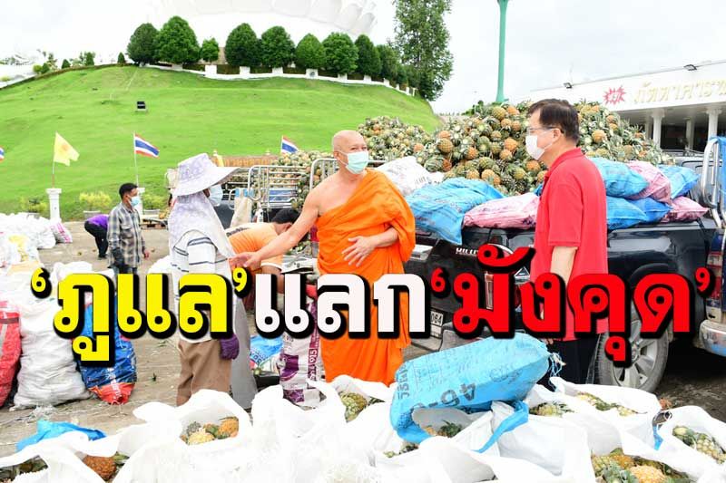 ‘พระพบโชค’รับซื้อ‘สับปะรดภูแล’ เปิดรับแลกเปลี่ยน‘มังคุด’ช่วยเกษตรกร