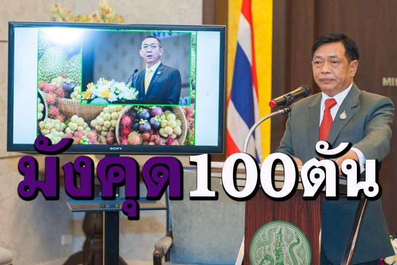 ‘เฉลิมชัย’ชูแคมเปญขายมังคุด100ตันวันที่8เดือน8ดีเดย์พรุ่งนี้