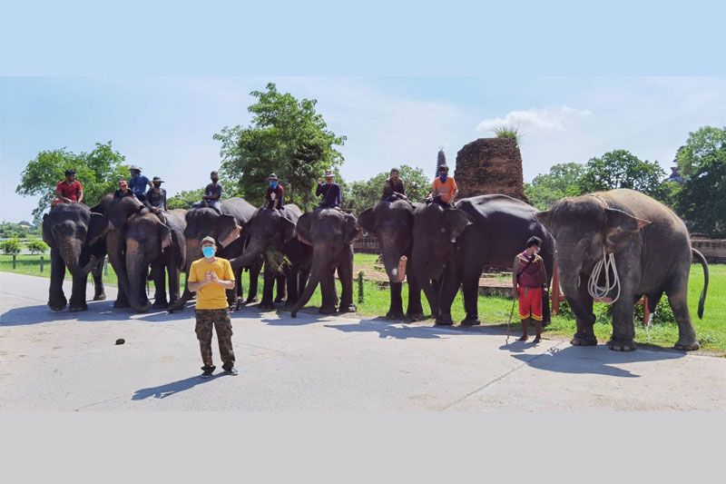 ตะลอนเที่ยว : ช้างตกยาก กลับบ้านเกิดที่สุรินทร์แล้ว