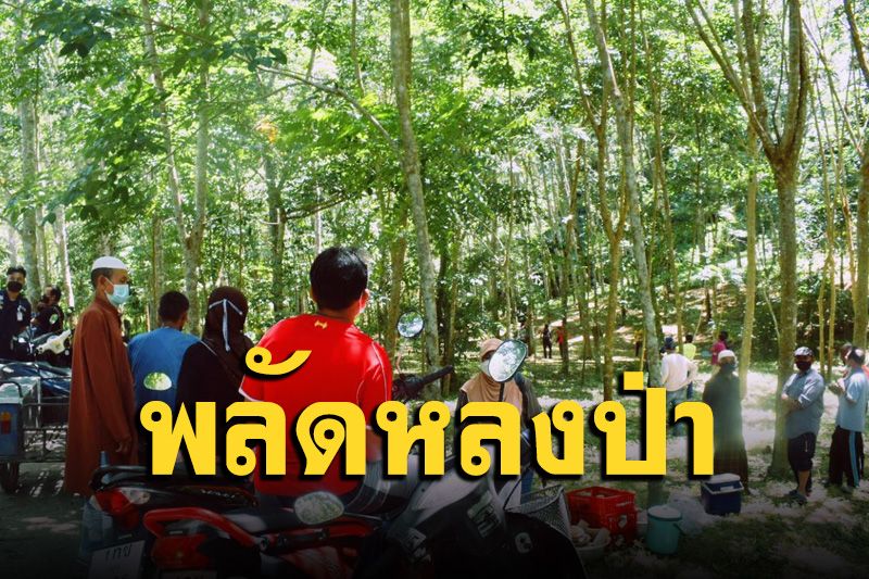 อดีต ชรบ. ขึ้นเขาหาต้นบอนดำสตูลพลัดหลงยังไม่เจอตัว ชาวบ้านเชื่อถูกบังตา