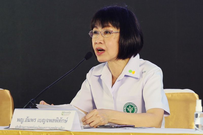 เคลียร์ปมถอนงานวิจัย'ฟ้าทะลายโจร' รอปรับปรุงก่อนชงตีพิมพ์-ยันใช้รักษาโควิดได้ดี