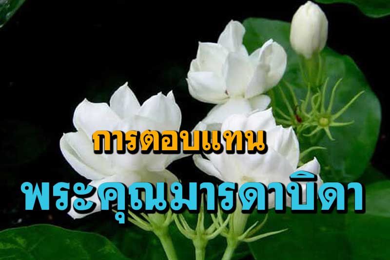 วิธีการตอบแทนพระคุณมารดาบิดาได้อย่างถูกต้องและเต็มที่