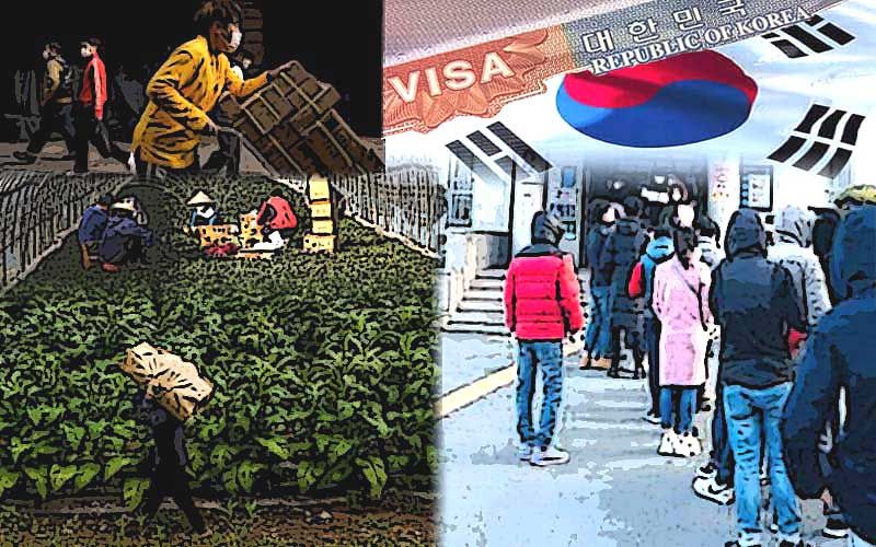 เปิดใจแรงงานไทยในเกาหลีใต้  ‘ถูกหรือผิดกฎหมาย’ล้วนมีฝัน-ชีวิตต้องสู้