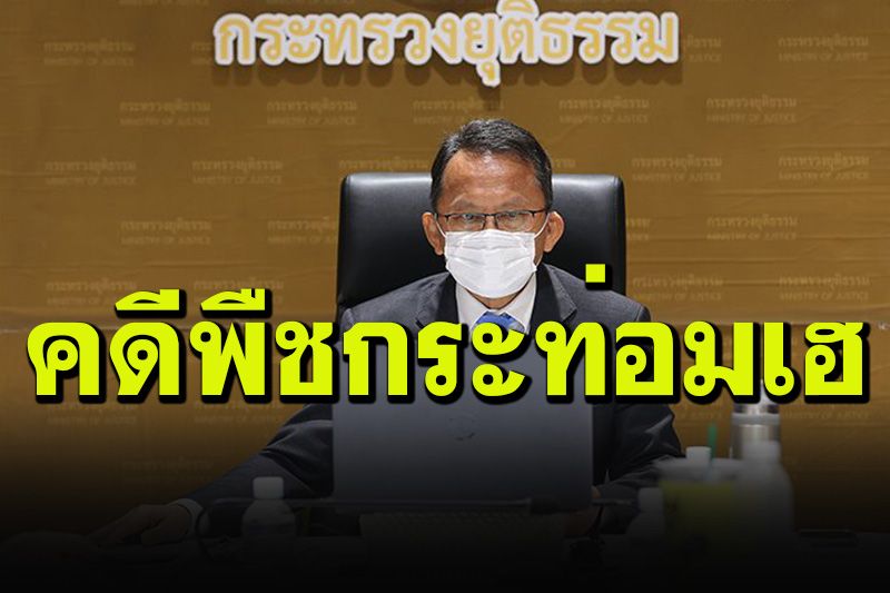 ยธ.จ่อปล่อยนักโทษ-ผู้ต้องหาคดีพืชกระท่อม หลัง ก.ม.บังคับใช้ 24 ส.ค.นี้