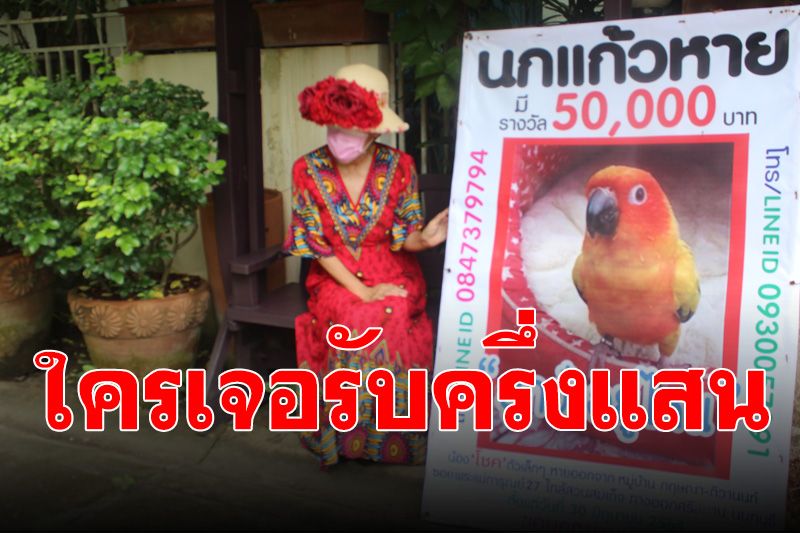ประกาศตามหา 'นกแก้ว' ใครเจอนำมาคืนให้เงินรางวัลครึ่งแสน