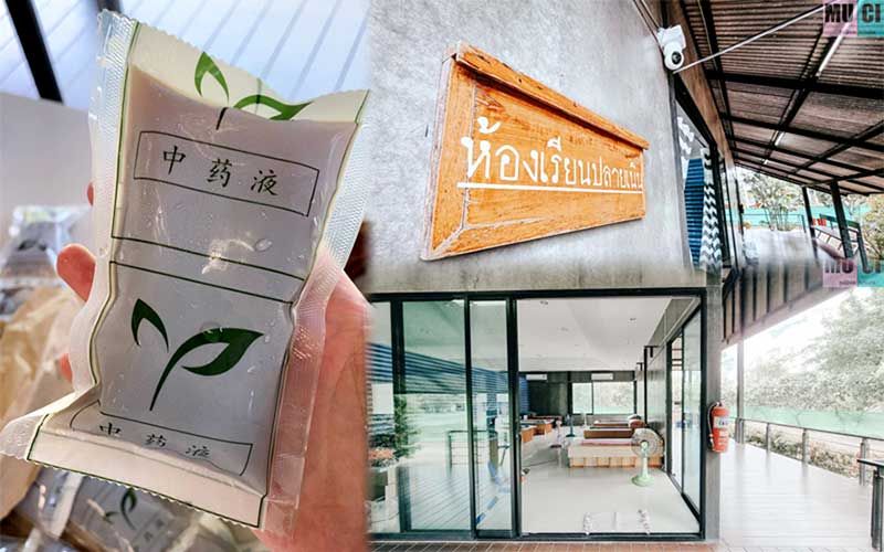 ศูนย์พักคอยวิทยาเขตนครสวรรค์  ‘ม.มหิดล’พัฒนาสูตรยาจีนรักษาโควิด