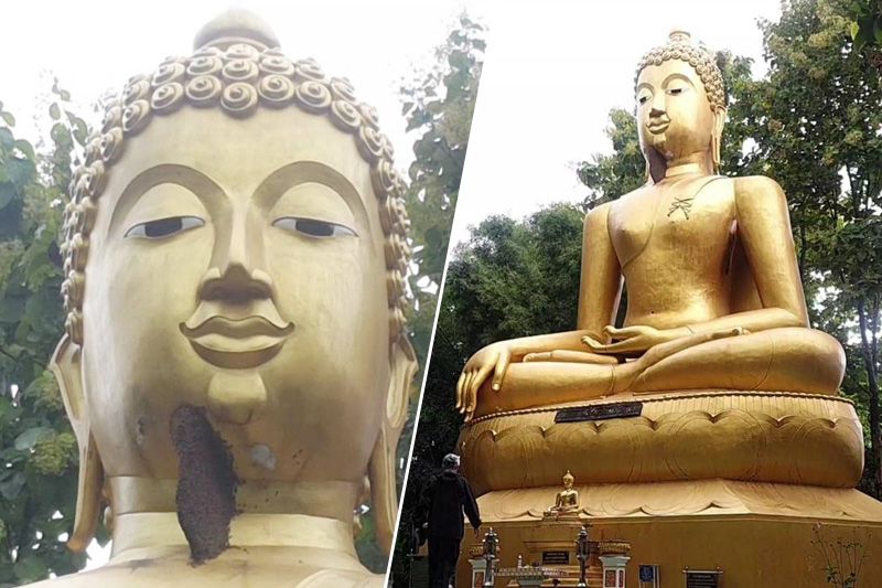 ฮือฮา! ‘ผึ้งหลวง’ ยึดพื้นที่ ‘พระพุทธรูปสีทอง’ ทำรัง ไม่ทำร้ายคนที่เข้าใกล้