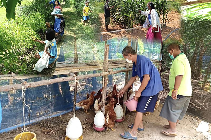 ‘บ้านยางชุม-วังศิลา’จ้างงานคนพิการ ต้นแบบสร้างอาชีพ-ความมั่นคงอาหาร