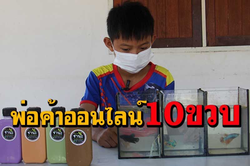 เด็กสวนผึ้งวัย 10 ขวบไลฬ์สดขายปลากัดมีรายได้สัปดาห์ละ 1,000 บาท
