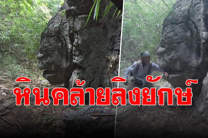 ฮือฮา! ชาวบ้านชมพูพบหินหน้าเหมือน 'พญาวานร' เตรียมเปิดเที่ยวชมปลายปีนี้