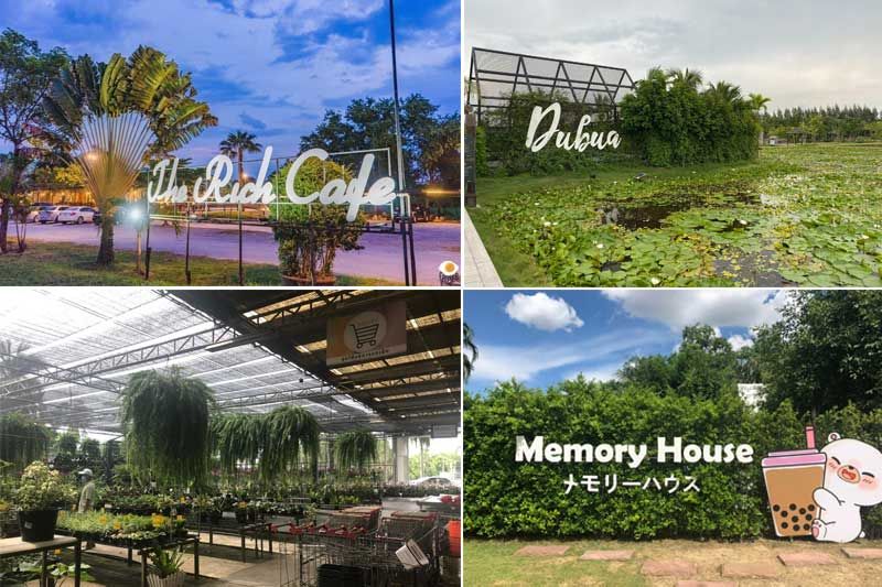 มามะมา....มาเเที่ยว Cafe /ร้านอาหาร นครปฐม  ใกล้กรุงเทพนิดเดียว...มา มา...
