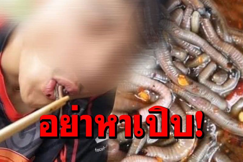 'หมอแล็บ'เตือนอย่าเปิบพิสดาร 'ไส้เดือนดิบ'แหล่งรวมแบคทีเรีย-ไข่พยาธิ