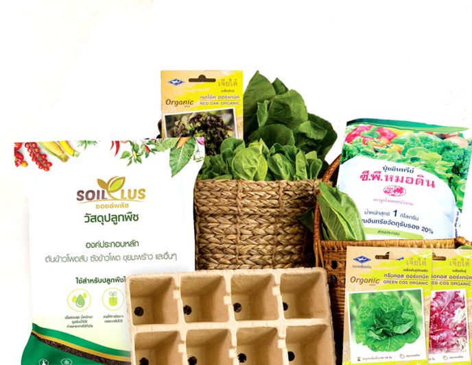 เจียไต๋ โฮมการ์เด้น ชวนปลูกผักเพื่อสุขภาพรับหน้าฝน