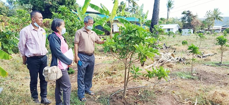 รายงานพิเศษ : สศท.2ชู‘สมุนไพร’สินค้าFuture Crop  สร้างรายได้โอกาสโตช่วงโควิด-19