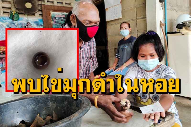 อึ้ง! เจอไข่มุกดำในหอยสันขวาน ผู้เชี่ยวชาญเผยมีราคาสูงถึงหลักล้านบาท