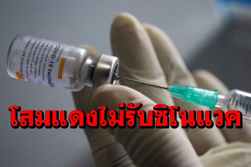 'เกาหลีเหนือ'ปฏิเสธไม่รับวัคซีนซิโนแวค อ้างคุมโควิดดีแล้ว-มีชาติอื่นจำเป็นมากกว่า