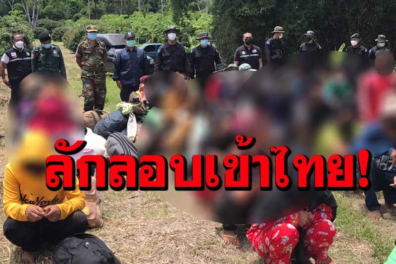 สกัดจับแรงงานหลบหนีเข้าไทย 48 คน  สารพภาพแอบเข้ามารับจ้างเก็บลำไย