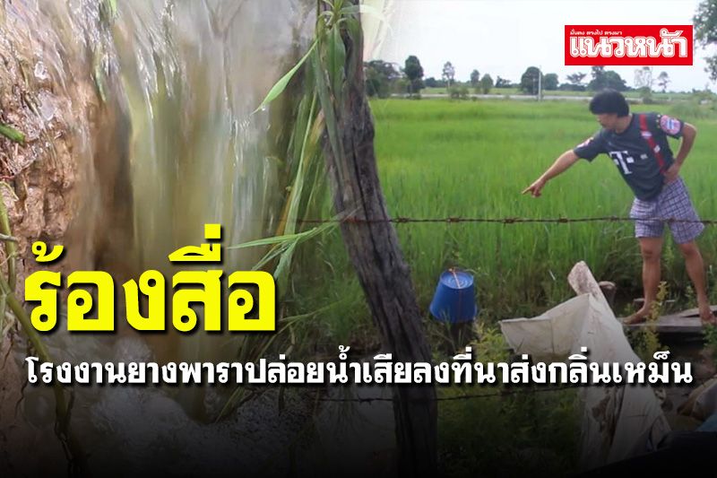 ชาวบ้านคำป่าหลาย ร้องสื่อโรงงานยางพาราปล่อยน้ำเสียลงที่นาเดือดร้อนหนัก