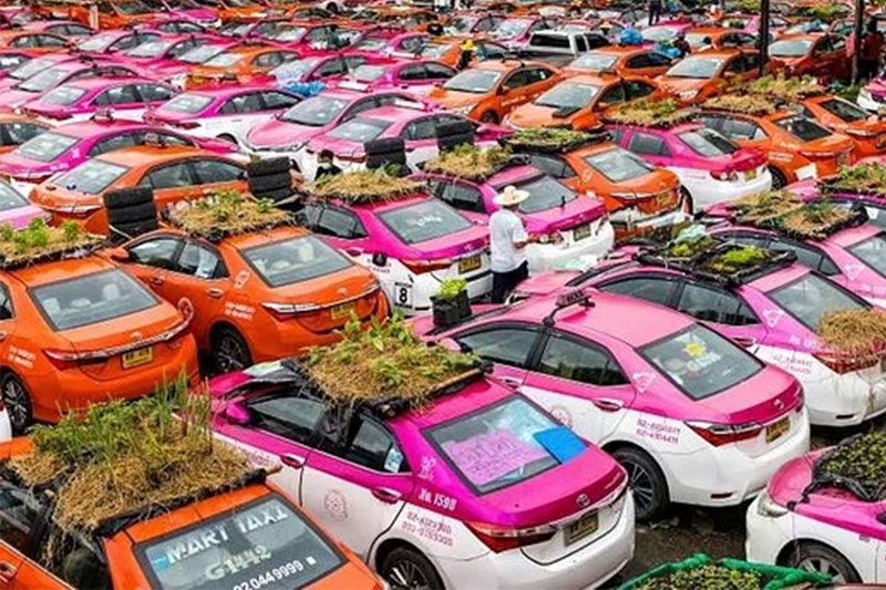 สื่อผู้ดีตีข่าว'สุสานแท็กซี่'เมืองไทยเซ่นพิษศก.โควิด รถพังกลายเป็นแปลงผักเลี้ยงคนขับตกงาน