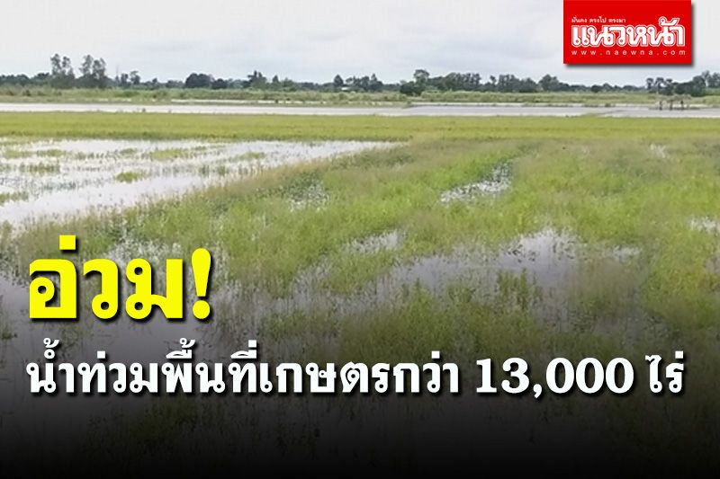 อ่วม! น้ำท่วมโรงพัก-ที่ว่าการอำเภอศรีสำโรง พื้นที่เกษตรอ่วมกว่า 13,000 ไร่