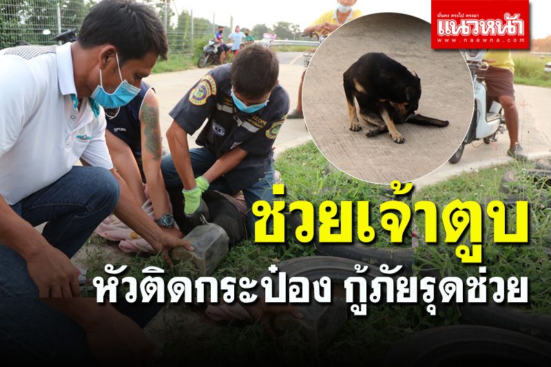 เจ้าตูบดวงซวย! หัวติดกระป๋องกู้ภัยรุดช่วย คาดมุดกินอาหารออกไม่ได้