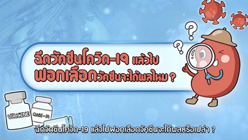 สมาคมโรคไตฯ ตอบข้อสงสัยการฉีดวัคซีนโควิด-19 ในผู้ป่วยโรคไต