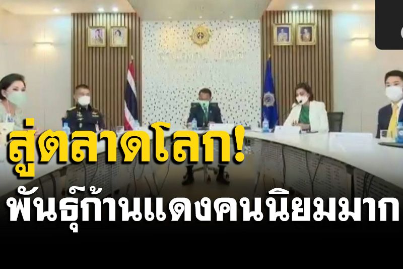 ‘กระท่อมก้านแดง’คนนิยมมาก! จ่อปลดล็อกส่งตลาดโลก สั่งคุมประพฤติใช้บำบัดผู้เสพ