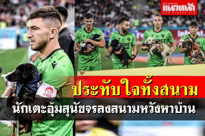 นักเตะ'ดินาโม บูคาเรสต์' อุ้มสุนัขลงสนามหวังหาบ้านให้พวกเขา