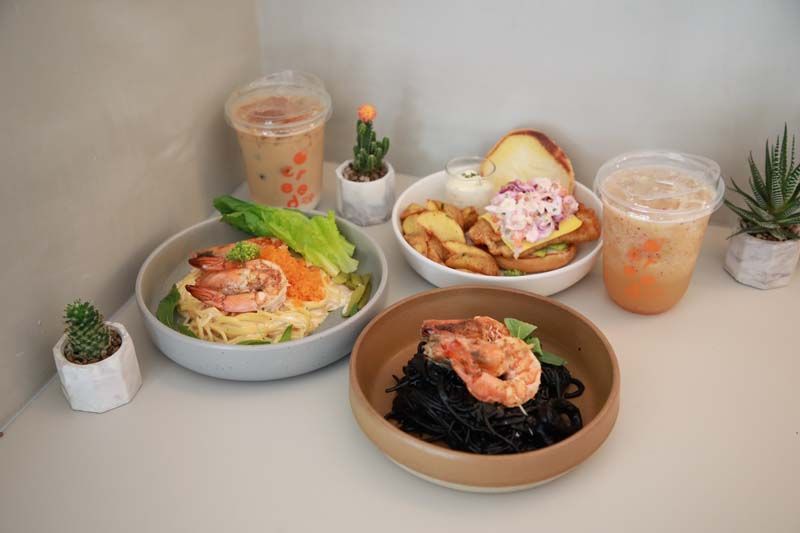 ปักหมุดคาเฟ่น่านั่ง Creed Café @พาราไดซ์ พาร์ค