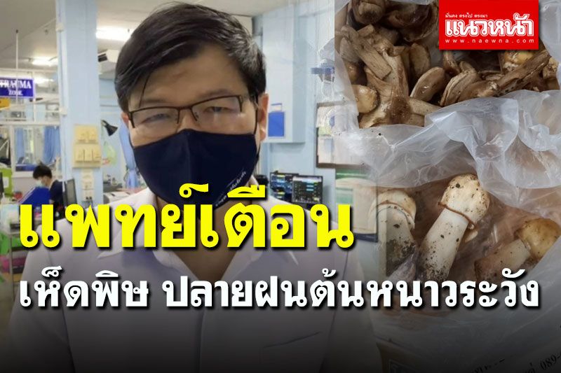 โรงพยาบาลน่าน เตือนปชช.กินเห็ดพิษปลายฝนต้นหนาวระวัง