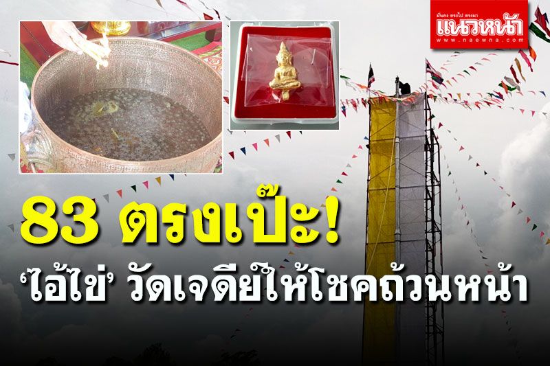 เฮลั่นวัด! 'ไอ้ไข่' วัดเจดีย์ เมืองคอน ให้ 83 ตรงเป๊ะ