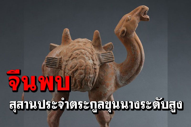 จีนพบ‘สุสานประจำตระกูล’ขุนนางระดับสูง เรียงหลุมตามความอาวุโส