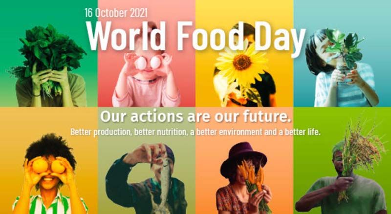 วันอาหารโลกปี’64‘สสส.’หนุนคนไทย ขับเคลื่อนระบบอาหารปลอดภัย-ยั่งยืน