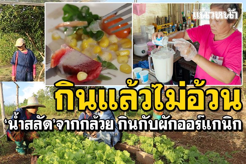 เลือกได้ตามใจ! ผักออร์แกนิกตัดจากสวน 'น้ำสลัด'จากกล้วย กินแล้วไม่อ้วน