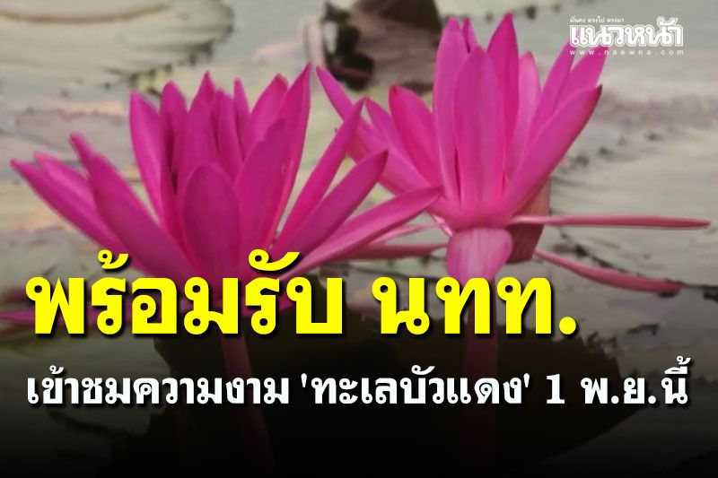 'ทะเลบัวแดง' ได้ฤกษ์ 1 พฤศจิกาฯนี้ พร้อมรับ นทท. เข้าชมความงาม