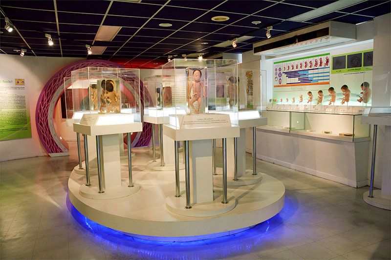 1 พ.ย.นี้ ดีเดย์เปิด'พิพิธภัณฑ์ศิริราช'