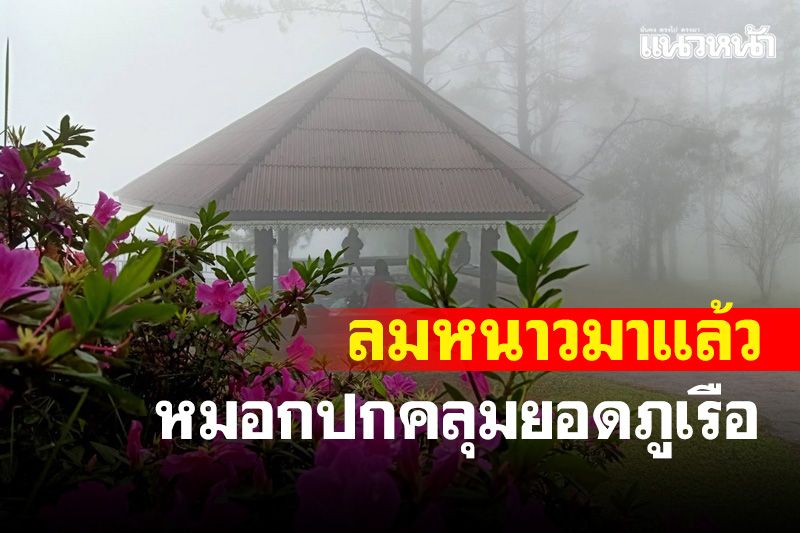 นทท.ไม่ผิดหวังเมืองเลยหนาวแล้ว! ยอดภูเรือ 14-15 องศา หมอกปกคลุมทั้งภู