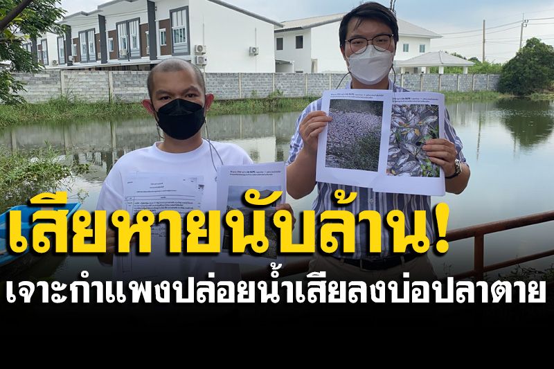 เจ้าของบ่อปลาโวยหมู่บ้านจัดสรร เจาะกำแพงปล่อยน้ำเสียลงบ่อปลาตายเกลื่อน