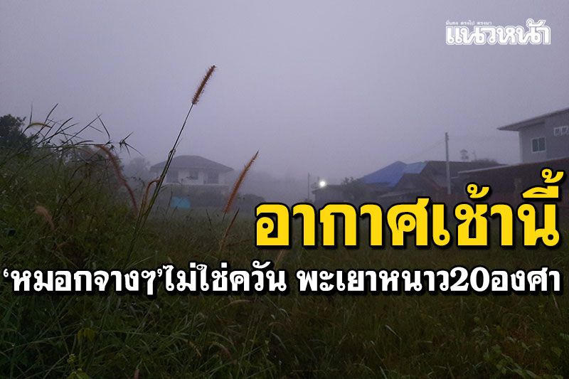 เช้านี้หมอกหนา! พะเยาหนาว20-21องศา 'ยอดดอยภูลังกา'ต่ำสุด14องศา