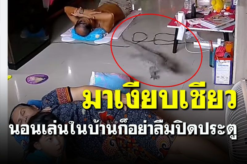เตือนภัย! อย่าลืมปิดประตูบ้าน ระวังแขกไม่ต้อนรับมาเยือน