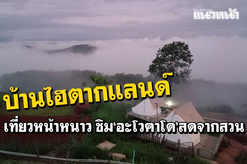เที่ยวหน้าหนาวที่'บ้านไฮตากแลนด์' ชิม'แก้วมังกร-อะโวคาโด'สดจากสวน